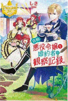 魔法少女奈叶